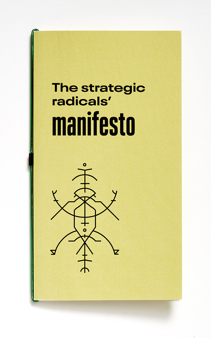 The strategic radicals’ manifesto